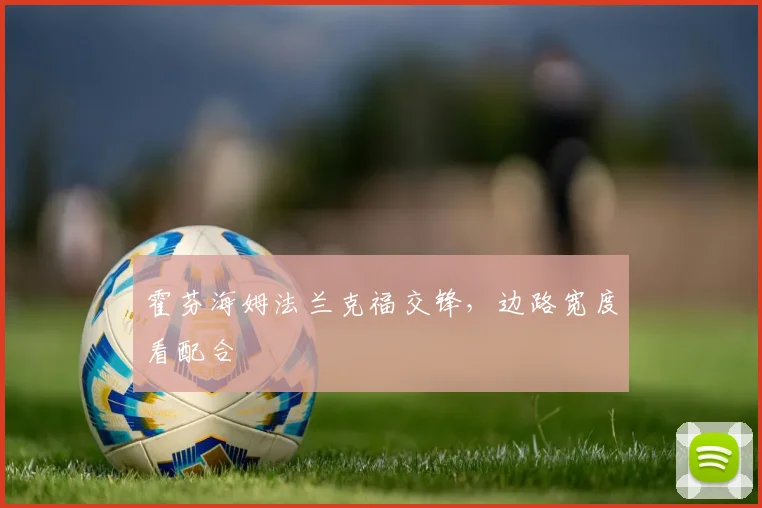 霍芬海姆法兰克福交锋，边路宽度看配合