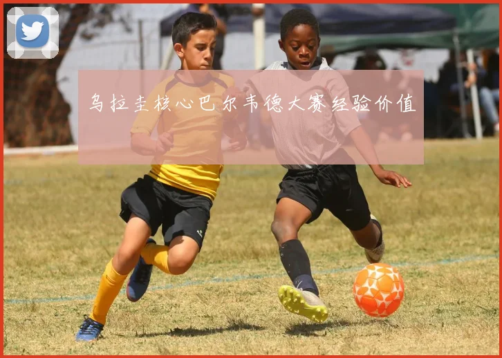 乌拉圭核心巴尔韦德大赛经验价值